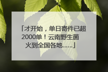 才开始，单日寄件已超2000单！云南野生菌火到全国各地……